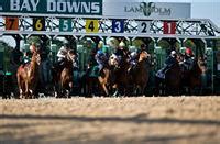Tampa Bay Downs Entries & Results .